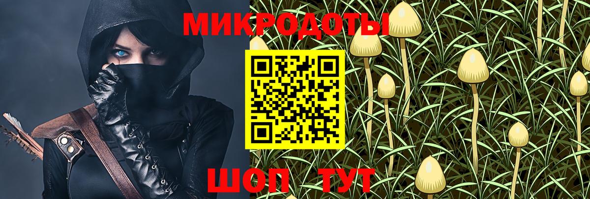 Псилоцибиновые грибы Cubensis Клинцы